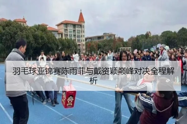 羽毛球亚锦赛陈雨菲与戴资颖巅峰对决全程解析